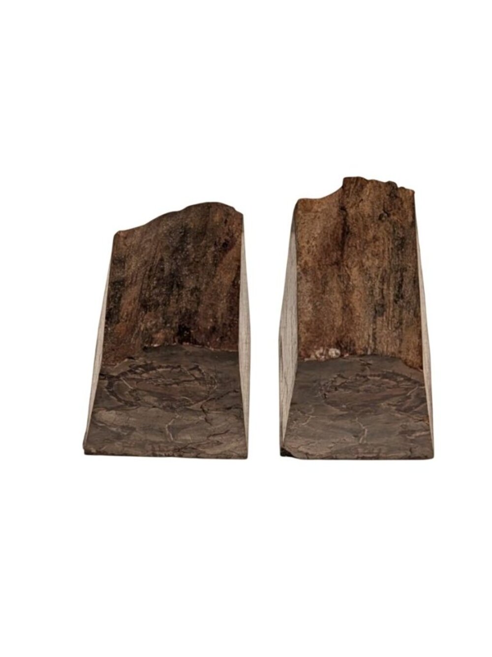 Petrified Wood Bookends Fossilized Tree Rings Natural Mineral Patterns 6" Rustic - Picture 12 of 16